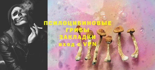 PSILOCYBIN Балахна