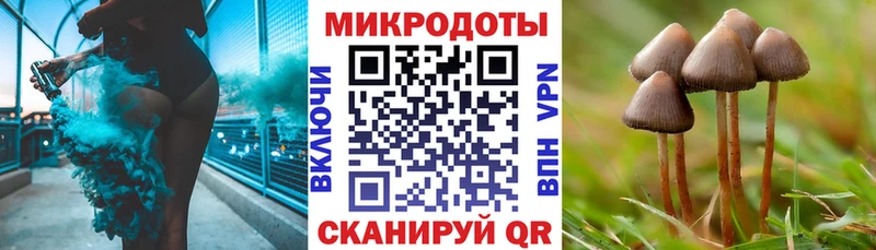 Псилоцибиновые грибы мицелий  Ногинск 