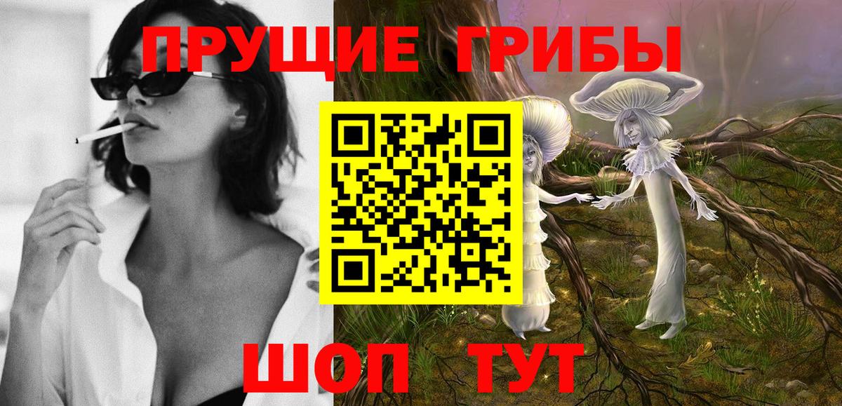 где купить наркоту  Вход с VPN  Ногинск  Псилоцибиновые грибы ЛСД  Псилоцибиновые грибы мухоморы 